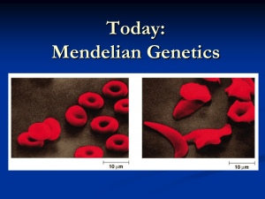 Today: Mendelian Genetics
