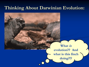 Thinking About Darwinian Evolution: is What evolution??  And