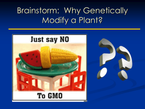 Brainstorm:  Why Genetically Modify a Plant?
