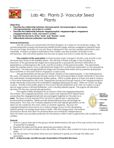 Lab 4b:  Plants 2- Vascular Seed Plants