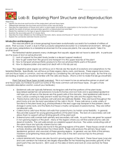 Lab 8:  Exploring Plant Structure and Reproduction
