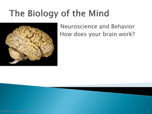 Neuroscience and Behavior How does your brain work? 1