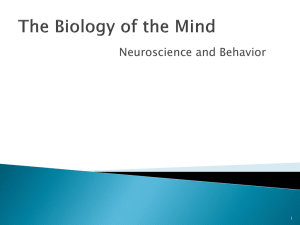 Neuroscience and Behavior 1