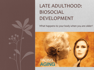 LATE ADULTHOOD: BIOSOCIAL DEVELOPMENT What happens to your body when you are older?