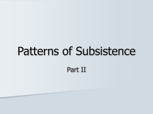 Patterns of Subsistence Part II