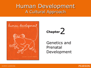 2 Human Development A Cultural Approach Genetics and