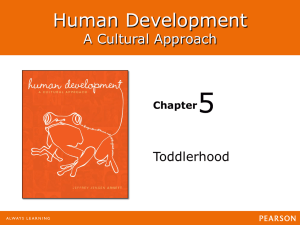 5 Human Development A Cultural Approach Toddlerhood