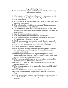 Chapter 3 Reading Guide  answer these questions.