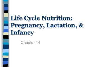 Life Cycle Nutrition: Pregnancy, Lactation, &amp; Infancy Chapter 14