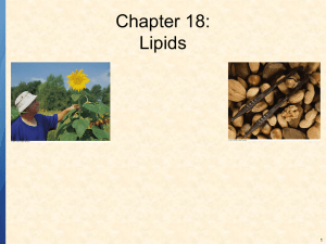 Chapter 18: Lipids 1