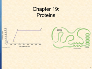 Chapter 19: Proteins 1