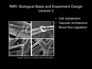 fMRI: Biological Basis and Experiment Design Lecture 3 • Cell metabolism