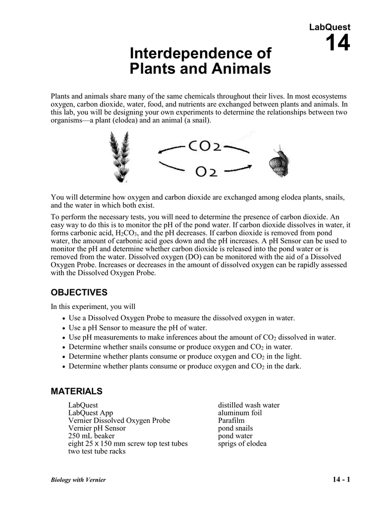 14 Interdependence of Plants and Animals