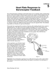 5 Heart Rate Response to Baroreceptor Feedback