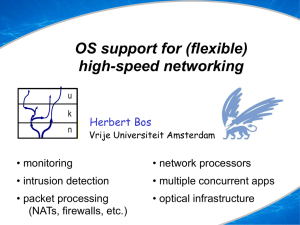 OS support for (flexible) high-speed networking