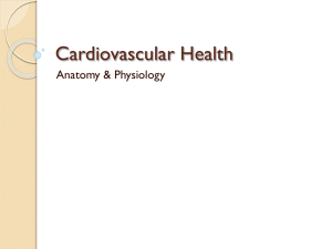 Cardiovascular Health Anatomy &amp; Physiology