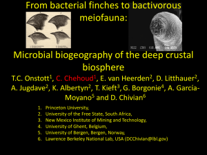 From bacterial finches to bactivorous meiofauna: Microbial biogeography of the deep crustal biosphere