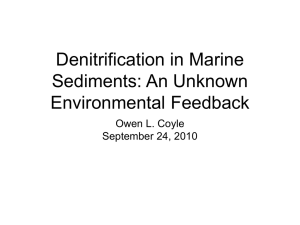 Denitrification in Marine Sediments: An Unknown Environmental Feedback Owen L. Coyle