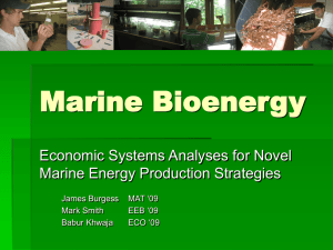 Marine Bioenergy Economic Systems Analyses for Novel Marine Energy Production Strategies MAT ‘09