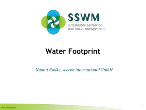 Water Footprint Naomi Radke, seecon international GmbH 1