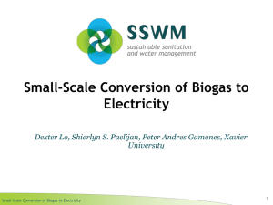 Small-Scale Conversion of Biogas to Electricity University