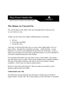 The Skinny on Visceral Fat to cut it down to size.