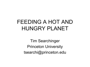 FEEDING A HOT AND HUNGRY PLANET Tim Searchinger Princeton University