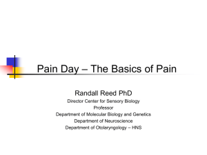 – The Basics of Pain Pain Day Randall Reed PhD
