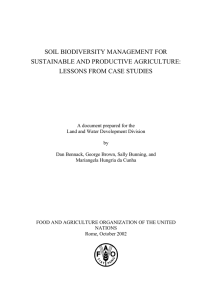 SOIL BIODIVERSITY MANAGEMENT FOR SUSTAINABLE AND PRODUCTIVE AGRICULTURE: LESSONS FROM CASE STUDIES
