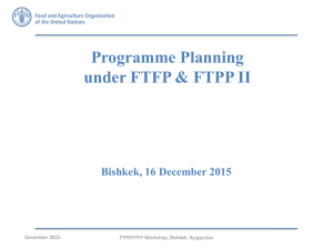 Programme Planning under FTFP &amp; FTPP II Bishkek, 16 December 2015 December 2015