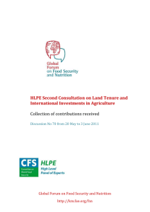 HLPE Second Consultation on Land Tenure and International Investments in Agriculture