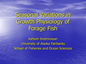 Seasonal Variations in Growth Physiology of Forage Fish Ashwin Sreenivasan