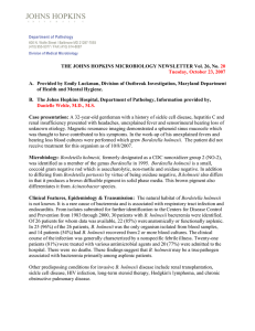 THE JOHNS HOPKINS MICROBIOLOGY NEWSLETTER Vol. 26, No.  20