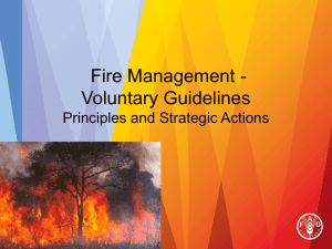Fire Management - Voluntary Guidelines Principles and Strategic Actions