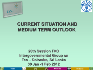 CURRENT SITUATION AND MEDIUM TERM OUTLOOK 20th Session FAO Intergovernmental Group on