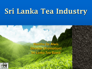 Sri Lanka Tea Industry Hasitha De Alwis Director (Promotion) Sri Lanka Tea Board