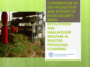 CONTRIBUTION OF TEA PRODUCTION AND EXPORTS TO FOOD SECURITY,