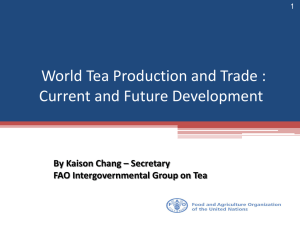 World Tea Production and Trade : Current and Future Development