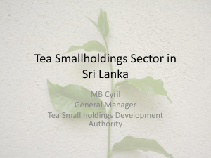 Tea Smallholdings Sector in Sri Lanka MB Cyril General Manager