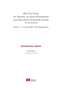 Wye City Group On Statistics on Rural Development and Agriculture Household Income