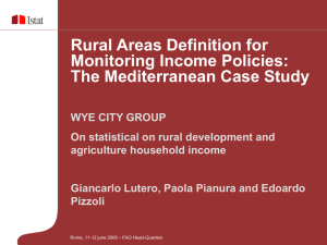 Rural Areas Definition for Monitoring Income Policies: The Mediterranean Case Study