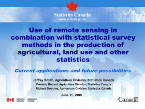 Use of remote sensing in combination with statistical survey
