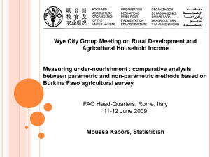 Wye City Group Meeting on Rural Development and Agricultural Household Income