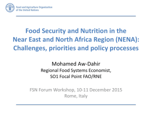 Food Security and Nutrition in the Challenges, priorities and policy processes