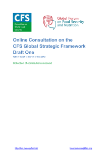Online Consultation on the CFS Global Strategic Framework Draft One