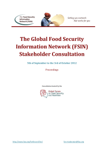 The Global Food Security Information Network (FSIN) Stakeholder Consultation