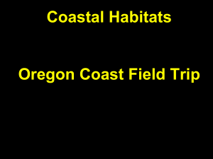 Coastal Habitats Oregon Coast Field Trip