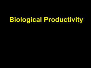 Biological Productivity