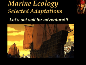 Marine Ecology Selected Adaptations Let’s set sail for adventure!!!