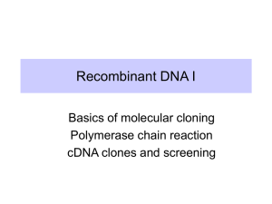Recombinant DNA I Basics of molecular cloning Polymerase chain reaction